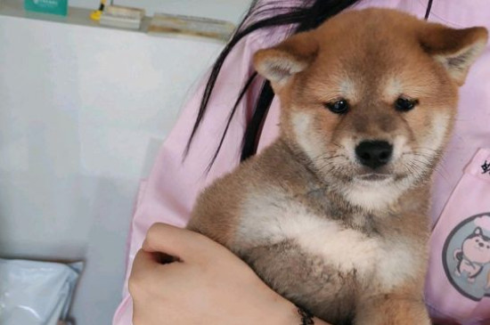人得了狂犬病会学狗叫吗，狂犬病为啥会学狗叫