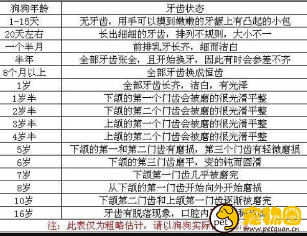 狗狗年龄对照表，1岁相当于人类成年(20岁就是百岁老人)