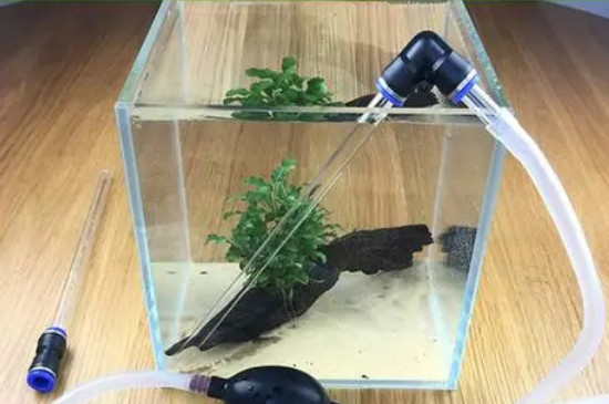 鱼池水浑浊怎么变清