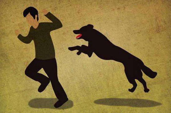 狂犬病的狗能活多久，3～5天内死亡率高达80%