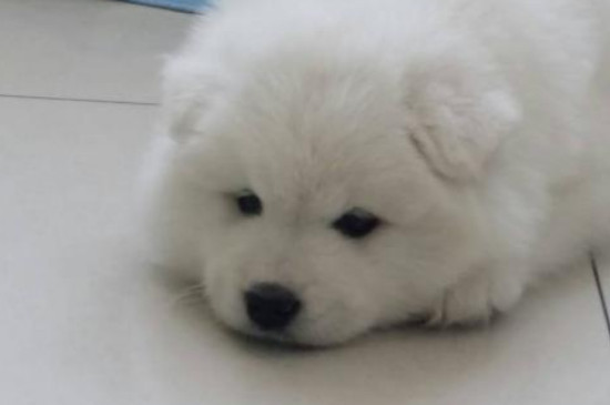 细小怎么治