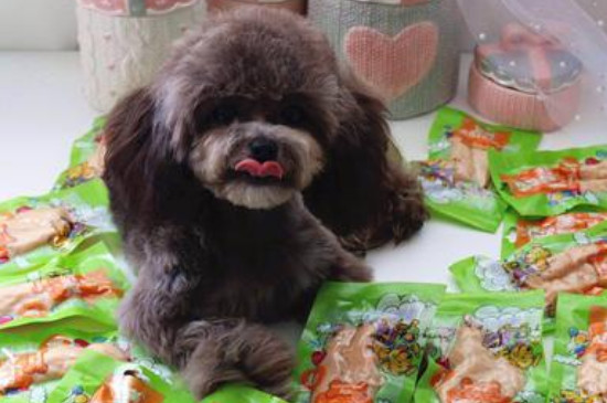 小狗挑食不爱吃饭怎么办