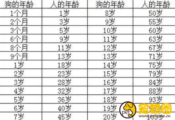 狗狗年龄对照表，1岁相当于人类成年(20岁就是百岁老人)