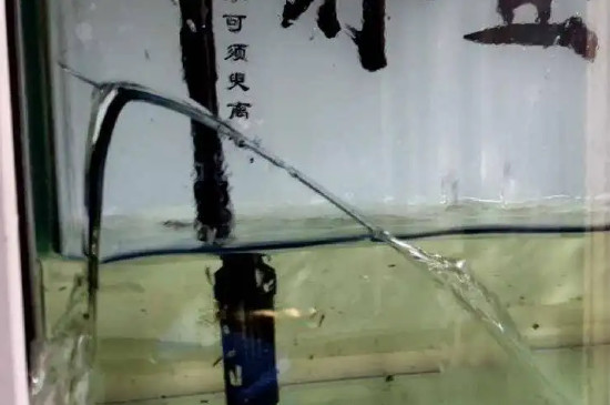 鱼缸爆缸前有什么征兆