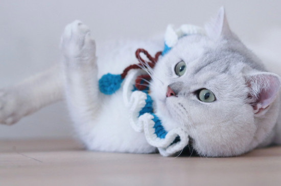 猫吃了老鼠药会自愈吗
