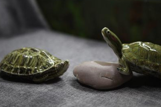巴西龟冬眠吗,冬眠需要什么