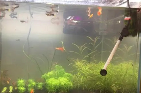 鱼缸换水爆氧三小时可以吗