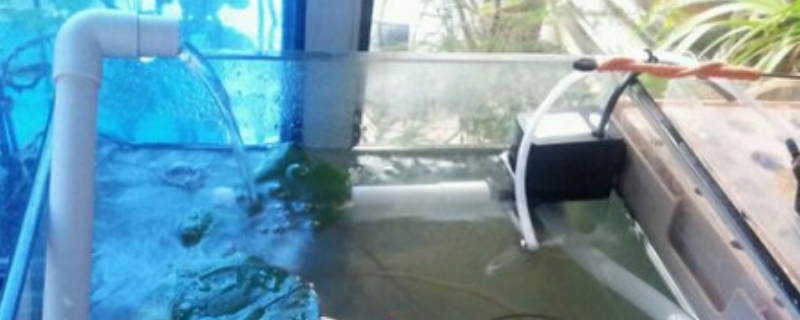 鱼缸打氧机不出气泡