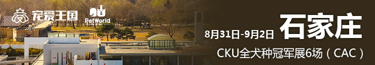 8月31日-9月2日石家庄CKU全犬种冠军展6场(CAC)
