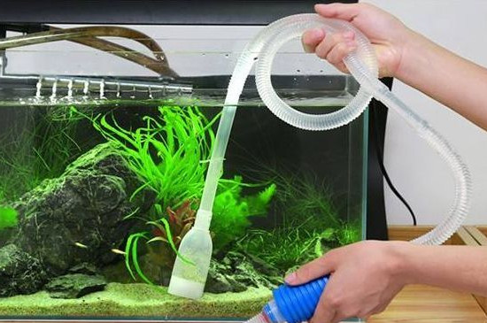 养鱼水混怎么办