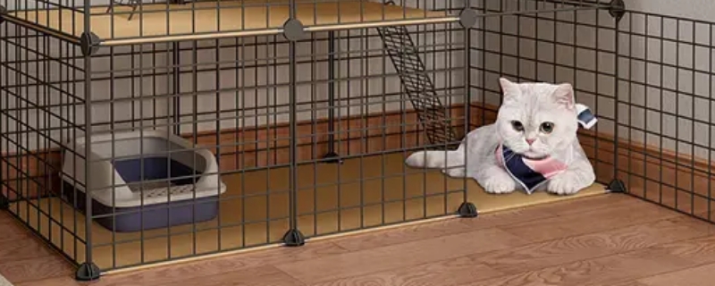 养宠物怎样给室内消毒