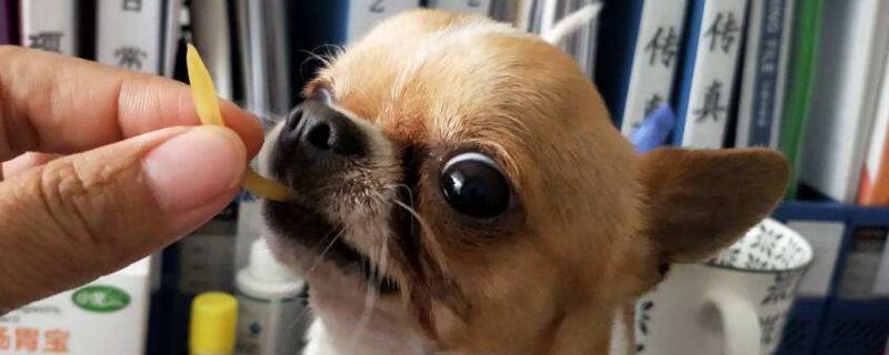 狗狗能吃土豆吗