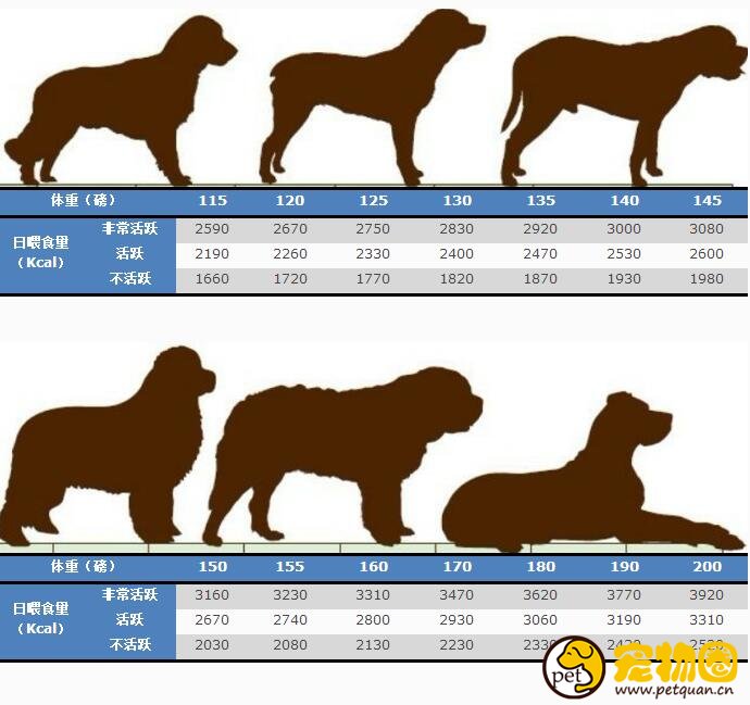 狗狗喂食量标准一览，喂养剂量和体重有关(附带食量对照表)