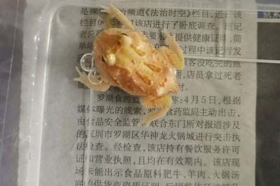 角蛙能喂虾吗