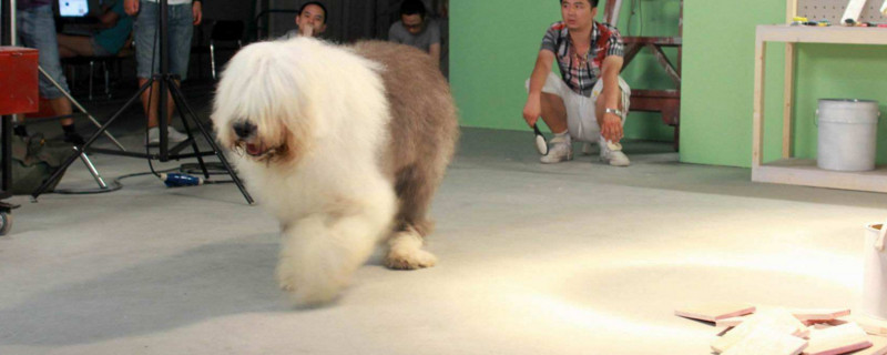古牧一生认几个主人