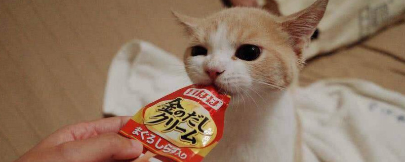 自制营养猫饭