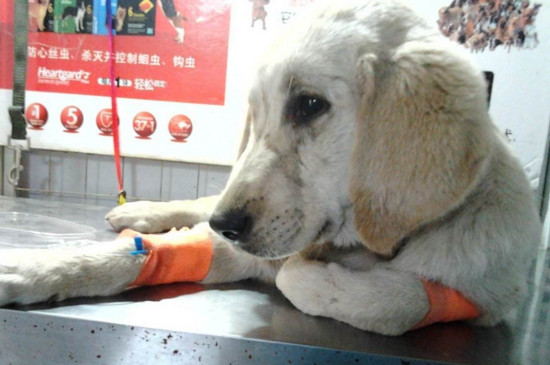 细小吐血是不是恶化了