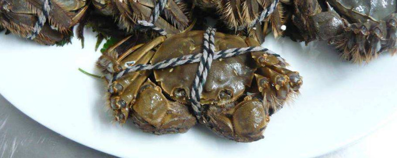 河蟹怎么养能多活几天