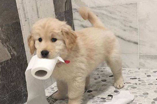 细小第七天还会死吗