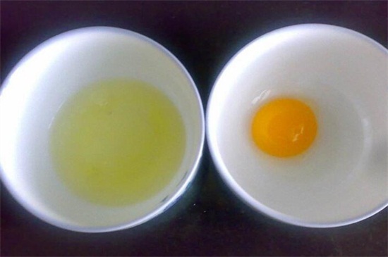 狗狗可以吃鸡蛋吗