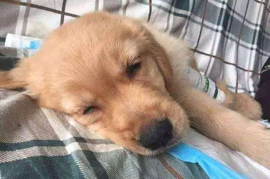 细小吐血是不是恶化了
