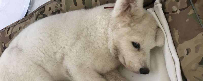 细小最严重的三天症状