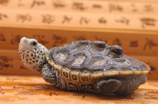 乌龟多少度冬眠