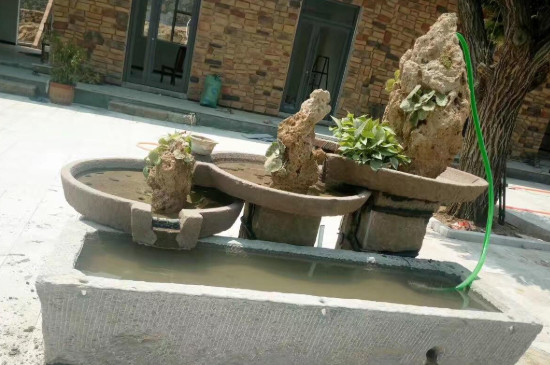 石槽养鱼怎么做水循环
