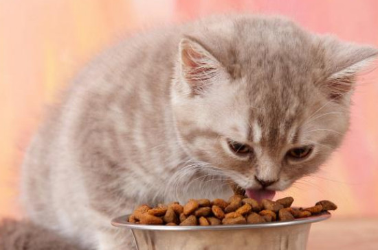 换猫粮拉稀怎么办