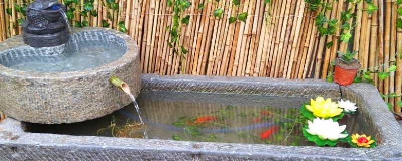 石槽养鱼怎么做水循环