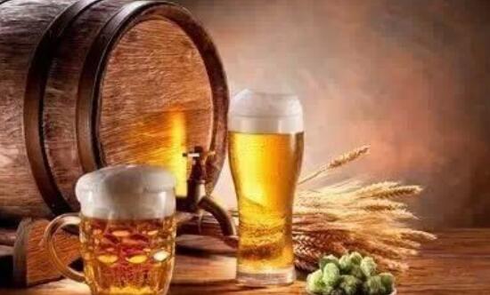 用啤酒浇绿萝怎么配比，啤酒喷绿萝的注意事项