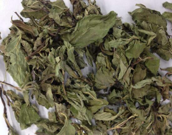 新鲜薄荷怎么吃最好，详解薄荷的十种吃法