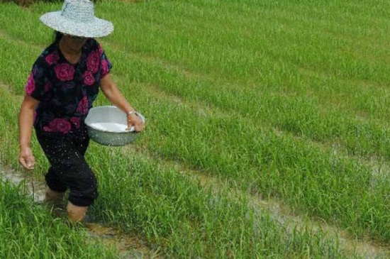 冲施肥与水溶肥的区别