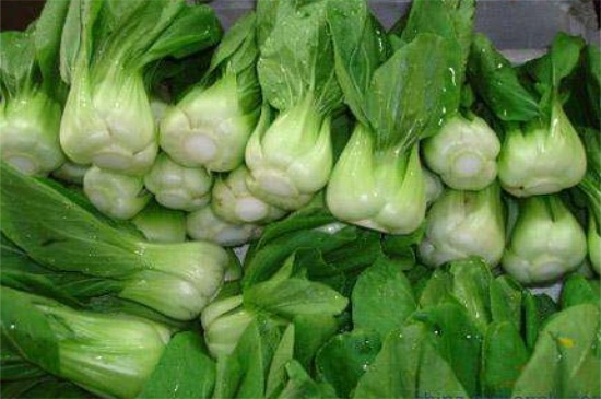 冬天可以种的蔬菜