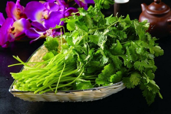 冬天可以种的蔬菜