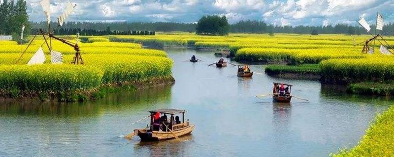 兴化油菜花最佳时间