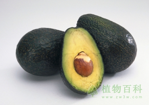 鳄梨