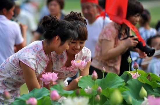 荷花展