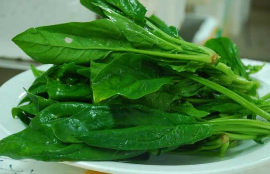 产妇能吃菠菜吗