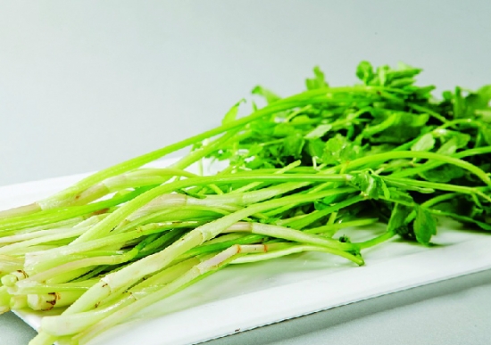 野芹菜