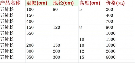 五针松价格