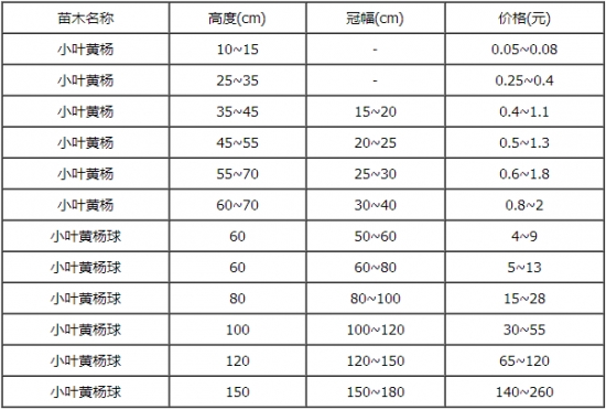 小叶黄杨的价格