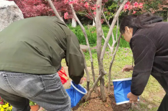 映山红一年开几次花?