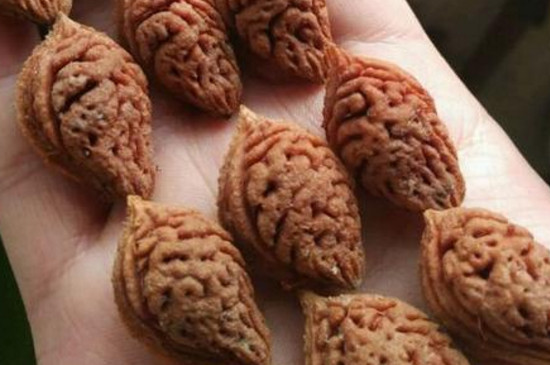 桃核有几种