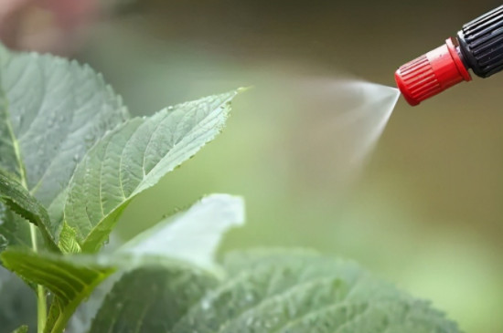 多菌灵直接拌花土里可以吗?