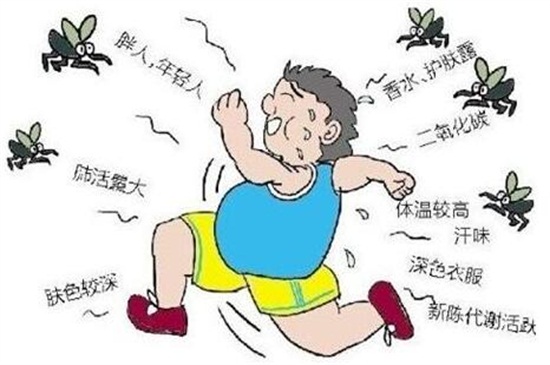 招蚊子的血型，O型血最吸引蚊子