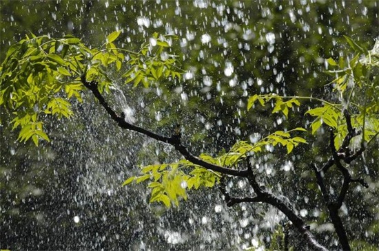 雨泽的寓意是什么，起名是良才/转运进财的风水意义