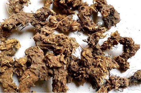 种什么药材赚钱，地黄和人参利润较高