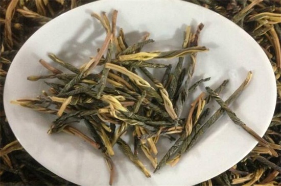 苦丁茶是什么植物