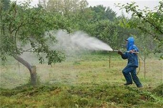 木蜂怎么防治